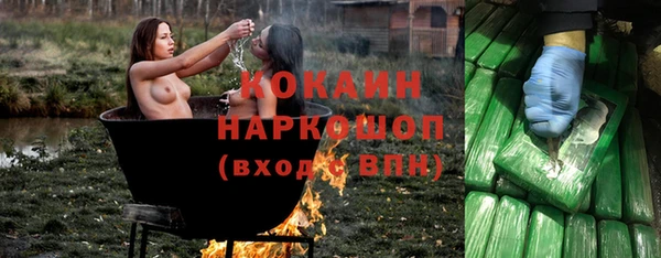 стаф Зерноград