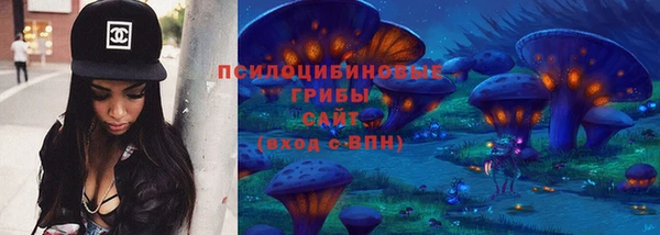 стаф Зерноград